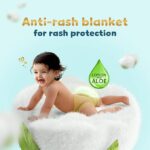 webp12 41